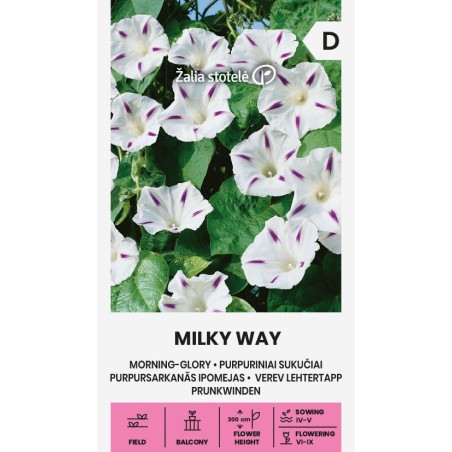 Morning Glory Milky Way - Seeds