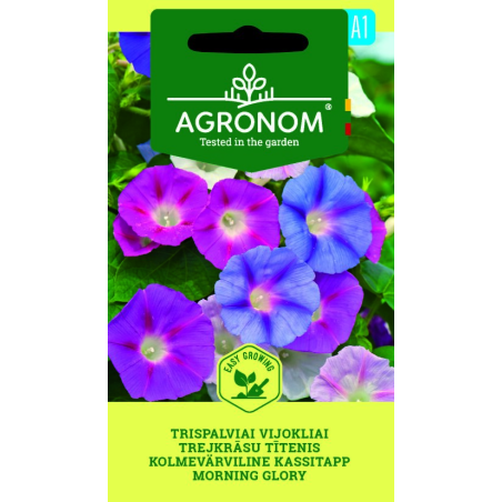 Morning Glory - Seeds