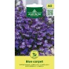 Lobelia Blue Carpet - Seeds