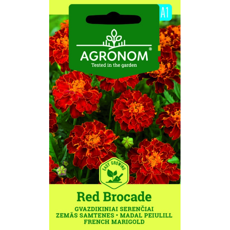 French Marigold, Red Brocade - Seeds