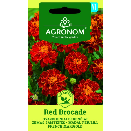 French Marigold, Red Brocade - Seeds