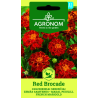 French Marigold, Red Brocade - Seeds