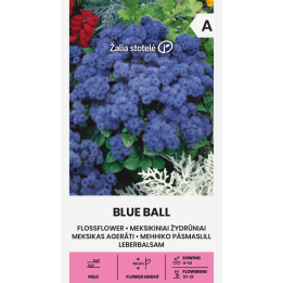 Flossflower Blue Ball - Seeds