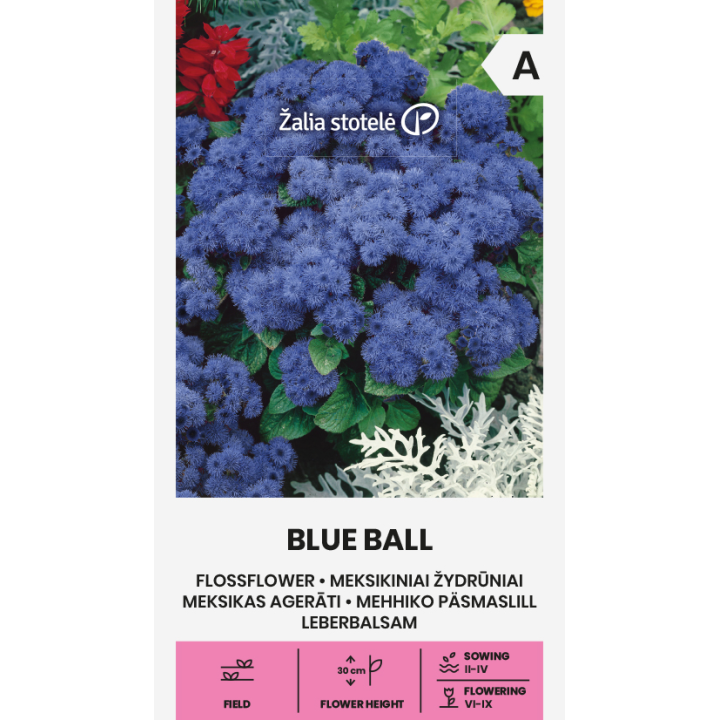 Flossflower Blue Ball - Seeds