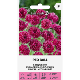 Cornflower Red Ball - Seeds