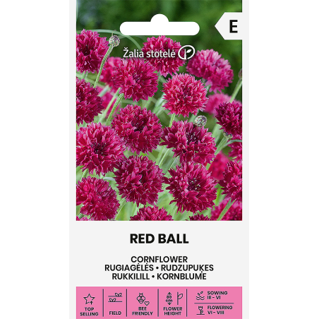 Cornflower Red Ball - Seeds