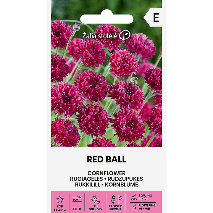 Cornflower Red Ball - Seeds