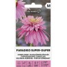 Coneflower Paradiso Super-Duper - Seeds