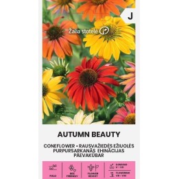 Coneflower Autumn Beauty - Seeds