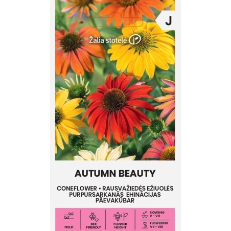 Coneflower Autumn Beauty - Seeds