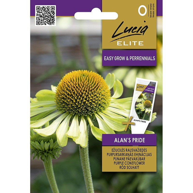 Coneflower Alan's Pride - Seeds