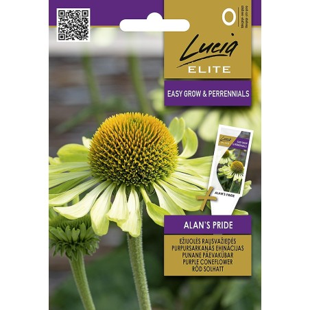 Coneflower Alan's Pride - Seeds