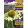Coneflower Alan's Pride - Seeds
