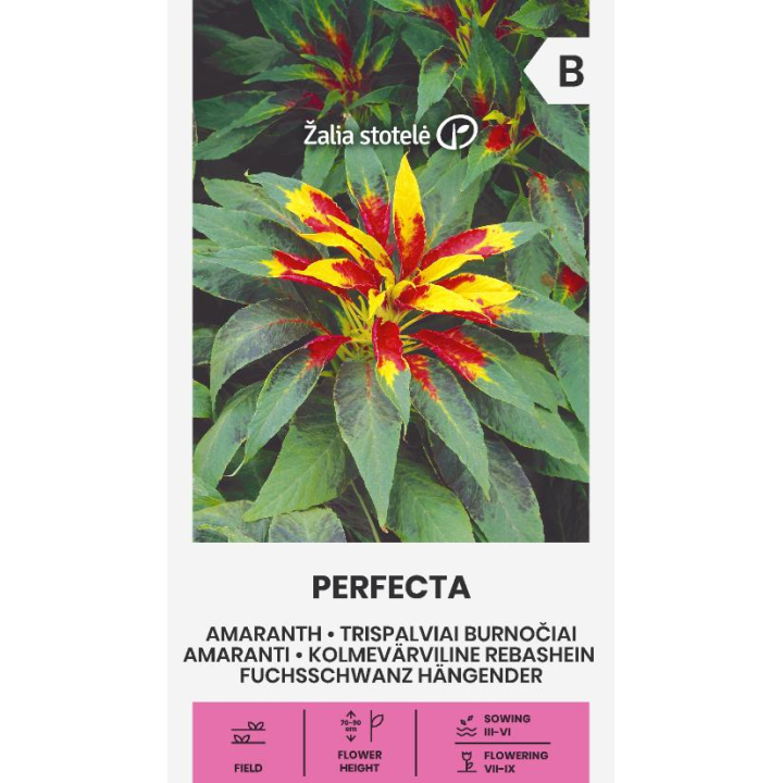 Amaranth Perfecta - Seeds