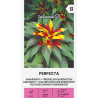 Amaranth Perfecta - Seeds