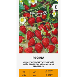 Wild Strawberry Regina - Seeds