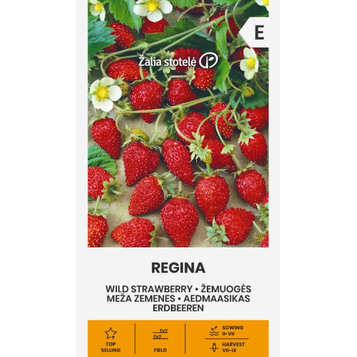 Wild Strawberry Regina - Seeds