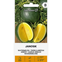 Watermelon Janosik - Seeds