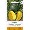 Watermelon Janosik - Seeds