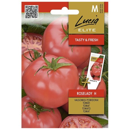 Tomato Roselady H - Seeds