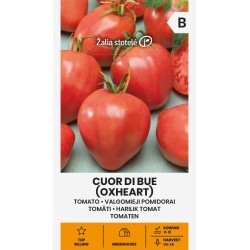 Tomato Oxheart (Cuore di bue) - Seeds