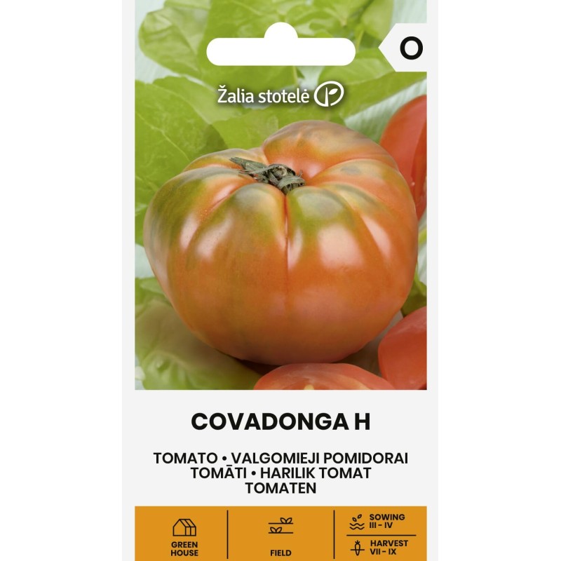 Tomato Covadonga H - Seeds