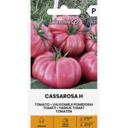 Tomato Cassarosa H - Seeds