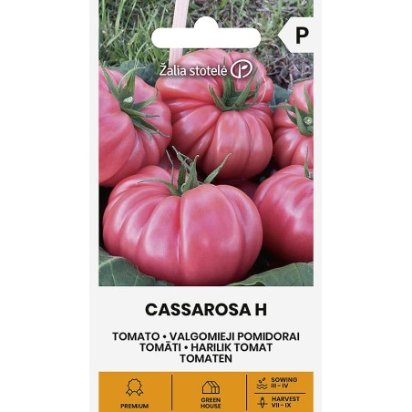 Tomato Cassarosa H - Seeds