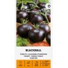 Tomato Blackball - Seeds