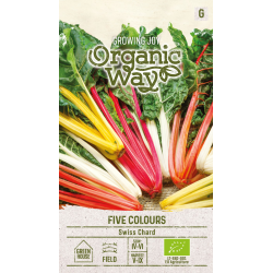 Swiss Chard Five Colours - Seeds