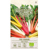 Swiss Chard Five Colours - Seeds