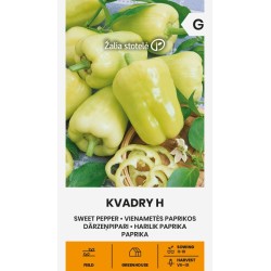 Pepper Sweet Kvadry H - Seeds