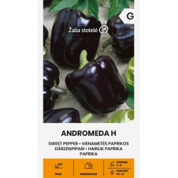 Pepper Sweet Andromeda H - Seeds