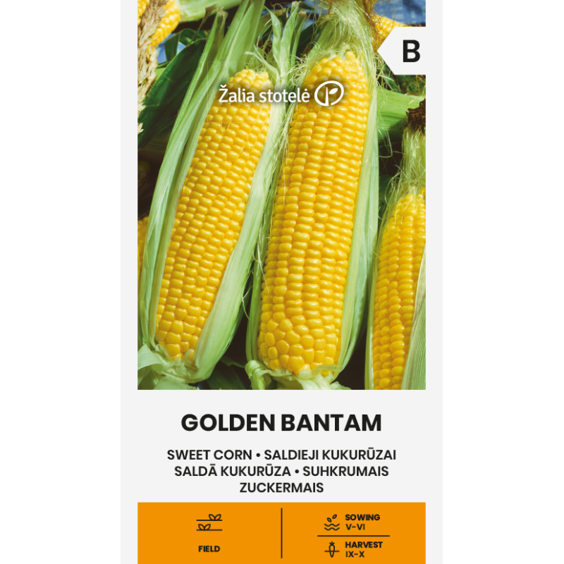 Corn Sweet Golden Bantam - Seeds
