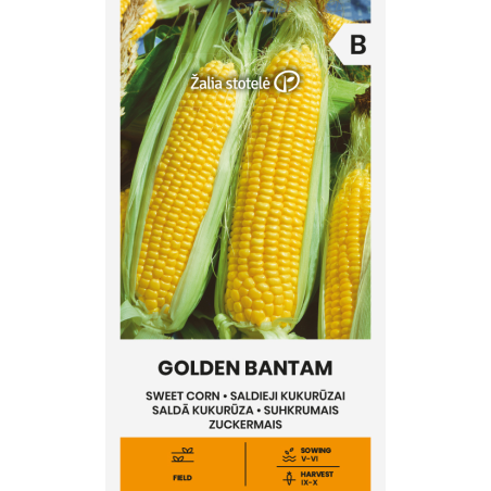 Corn Sweet Golden Bantam - Seeds