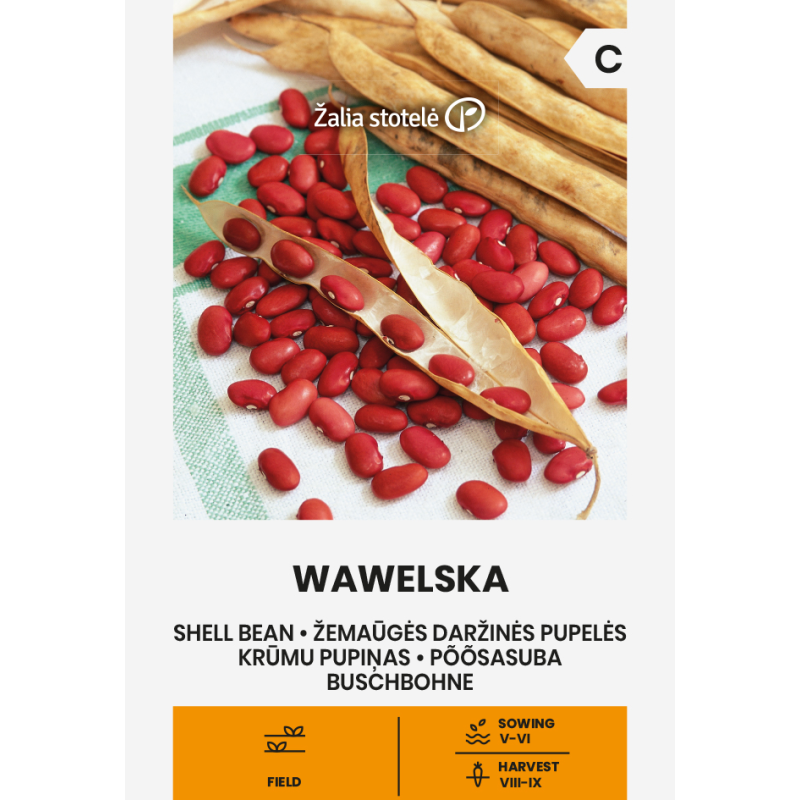 Bean Shell Wawelska - Seeds