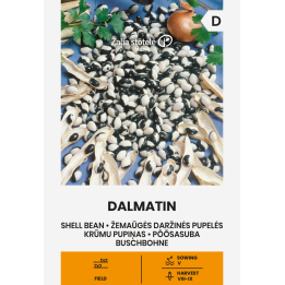 Bean Shell Dalmatin - Seeds