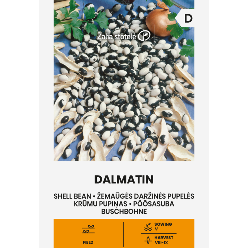 Bean Shell Dalmatin - Seeds