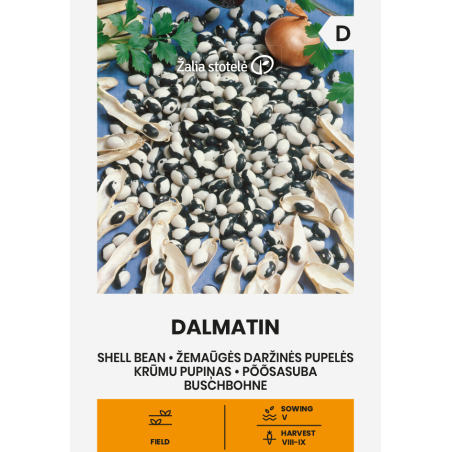 Bean Shell Dalmatin - Seeds