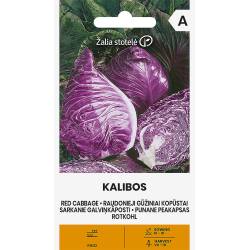 Cabbage Red Kalibos - Seeds