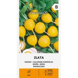 Radish Zlata - Seeds