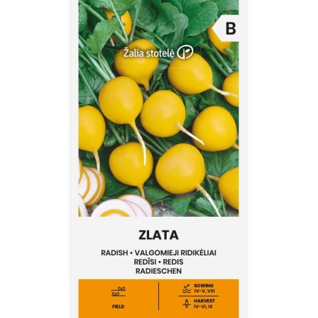 Radish Zlata - Seeds