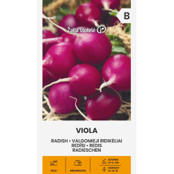 Radish Viola - Seeds