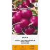 Radish Viola - Seeds