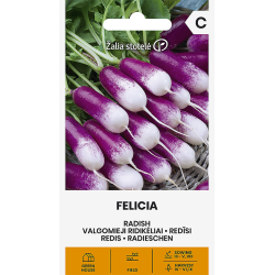 Radish Felicia - Seeds
