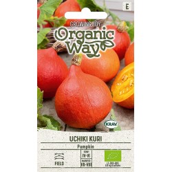 Pumpkin Uchiki Kuri - Seeds