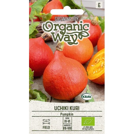 Pumpkin Uchiki Kuri - Seeds