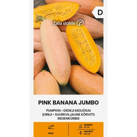 Pumpkin Pink Banana Jumbo - Seeds
