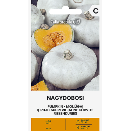 Pumpkin Nagydobosi - Seeds