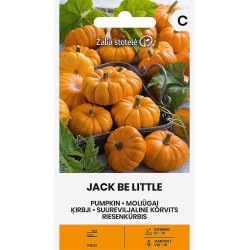 Pumpkin Jack Be Little - Seeds